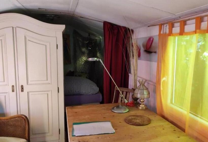 Trailer   Dschungel Lodge