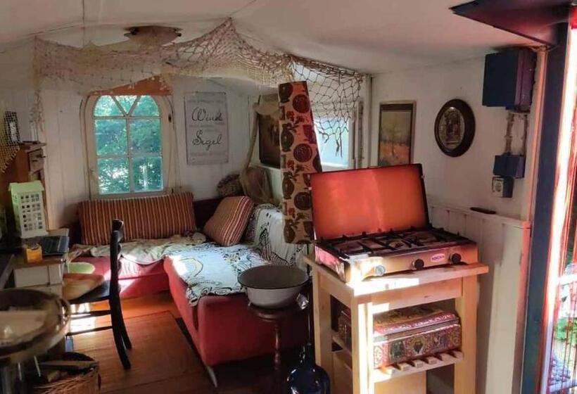 Trailer   Dschungel Lodge