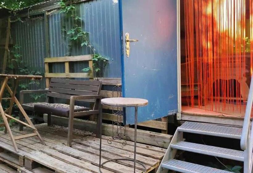 Trailer   Dschungel Lodge