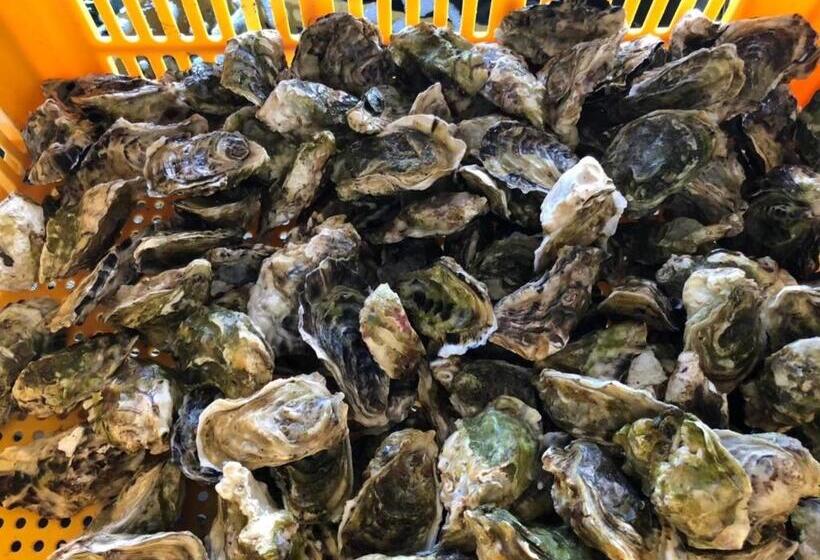 佐世保villa青鹿ur1