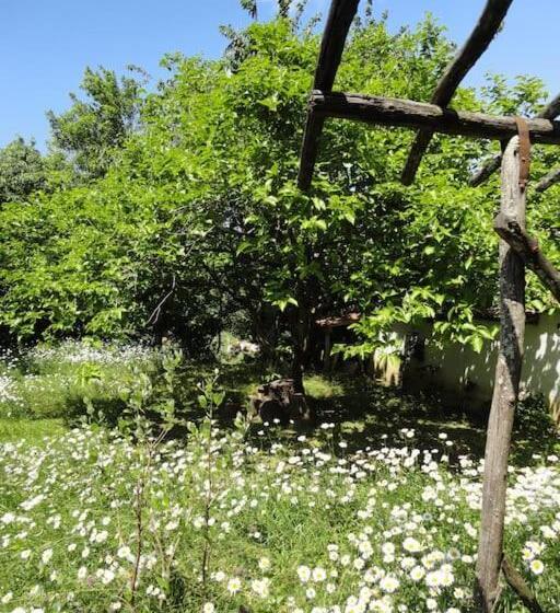 A Lovely House In Vipava Valley