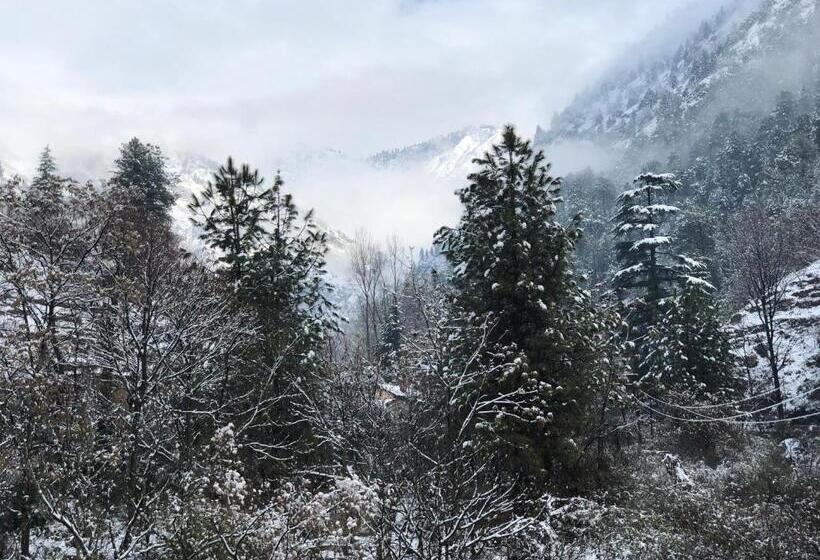 فندق صغير Earthlings Backpacker Den