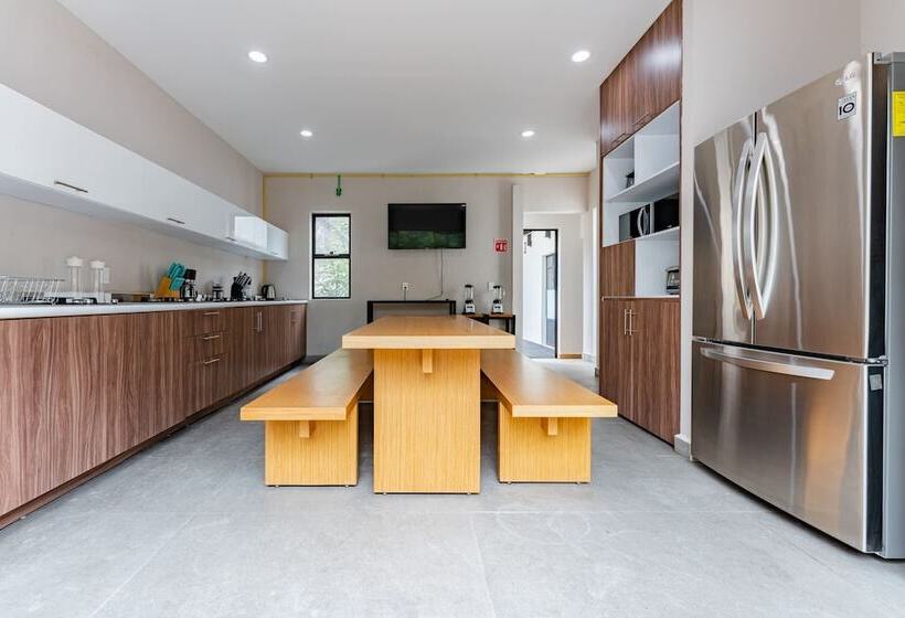 هاستل Casa Danubio Reforma By Vh