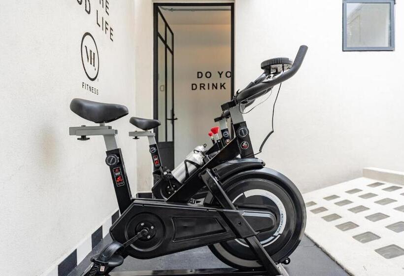 هاستل Casa Danubio Reforma By Vh