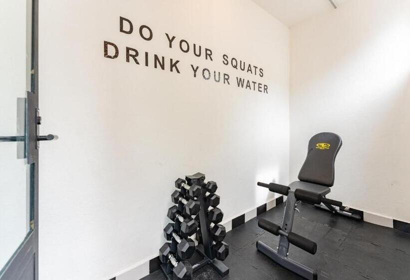 هاستل Casa Danubio Reforma By Vh