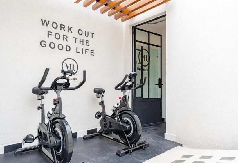 هاستل Casa Danubio Reforma By Vh