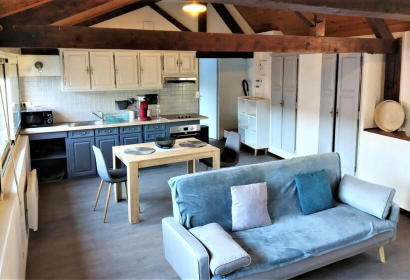 Appartements   Halles Brauhauban Tarbes