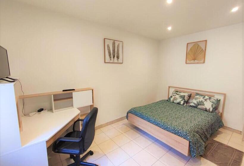 Appartements   Halles Brauhauban Tarbes