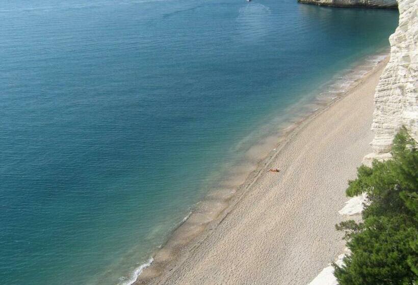 B & B Torre Saracena