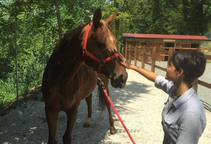 B&b Lo Scoiattolo Del Pollino