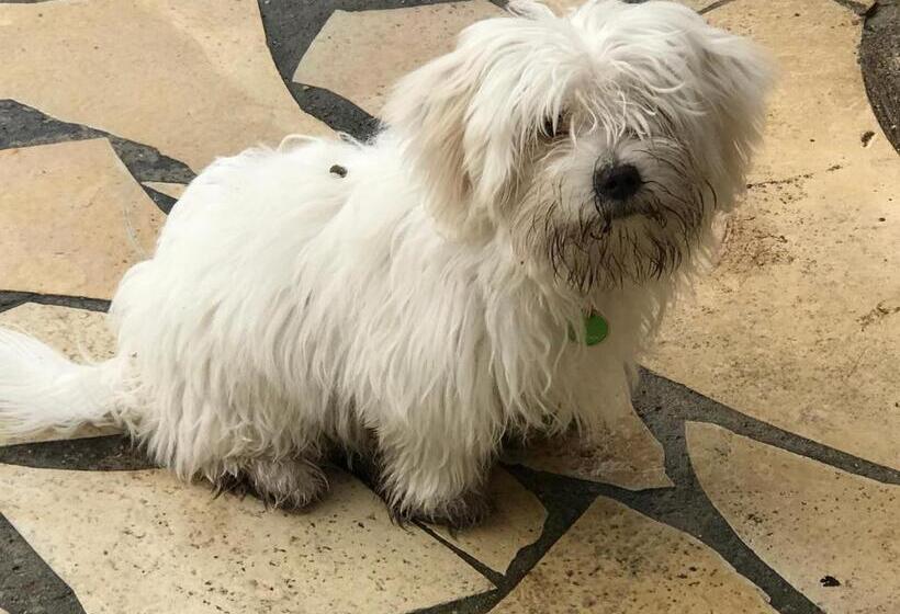 צימר Chambre D Hôtes   Les Oliviers