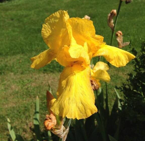 مبيت وإفطار Chambres D Hôtes Kayros