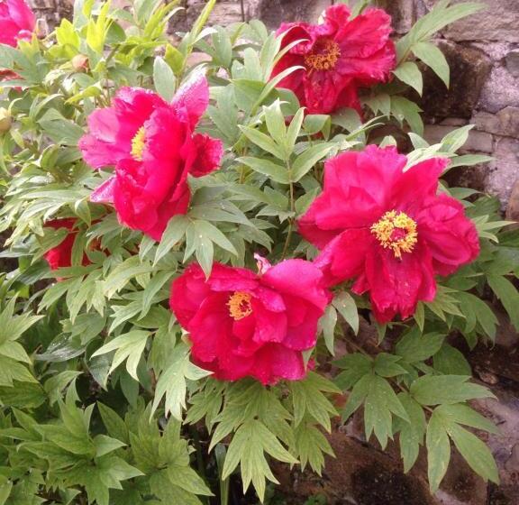 مبيت وإفطار Chambres D Hôtes Kayros