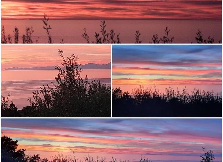 住宿加早餐  Dimora Acqua Del Fico