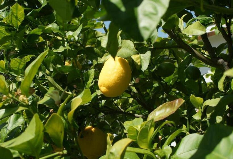 مبيت وإفطار Finca Mil Estrellas