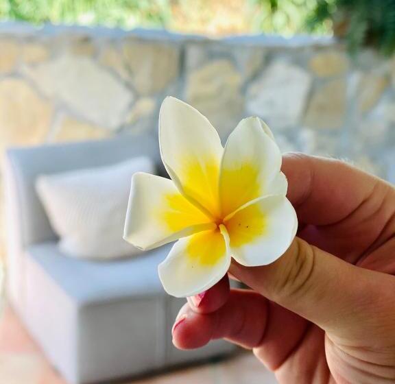 مبيت وإفطار Finca Mil Estrellas