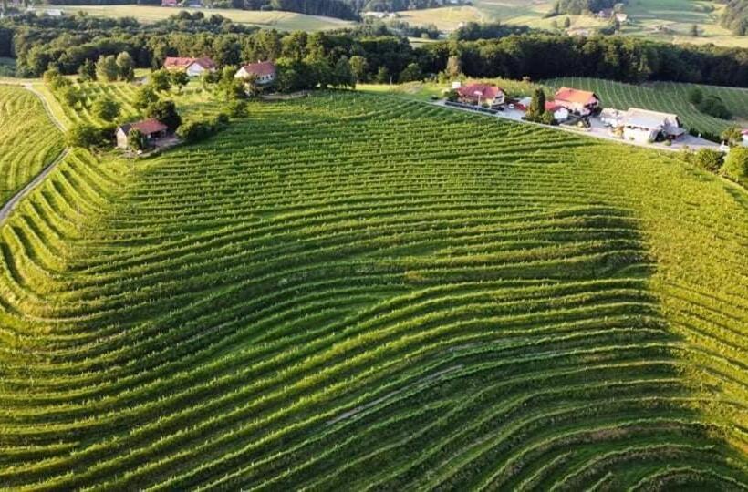 تختخواب و صبحانه Guesthouse Prenočišča širec