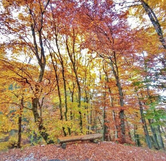 Casa Nella Natura Il Risveglio Degli Elfi