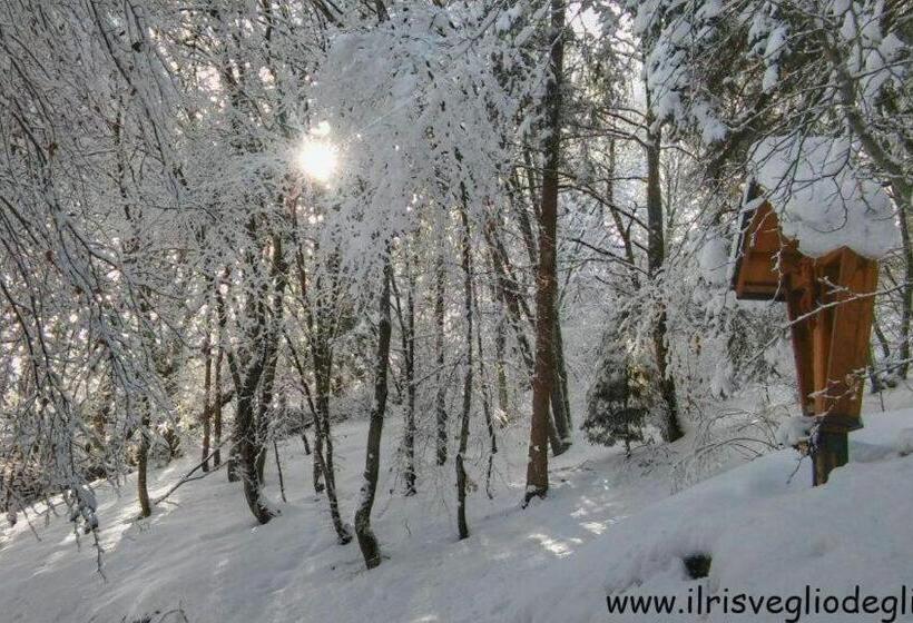 Casa Nella Natura Il Risveglio Degli Elfi