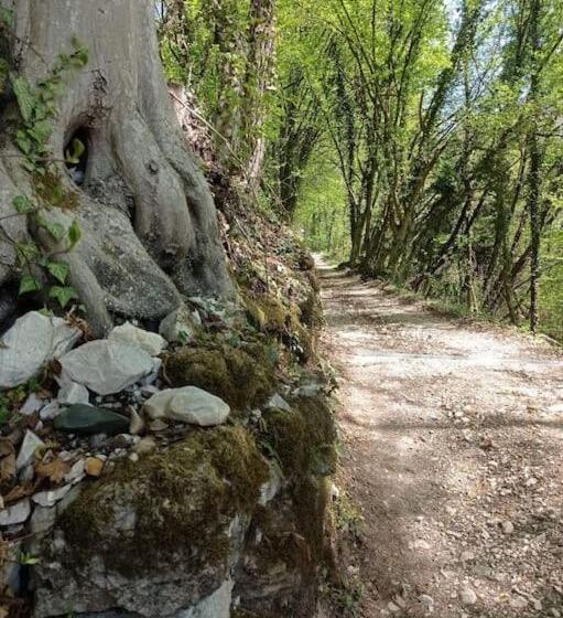 Casa Nella Natura Il Risveglio Degli Elfi