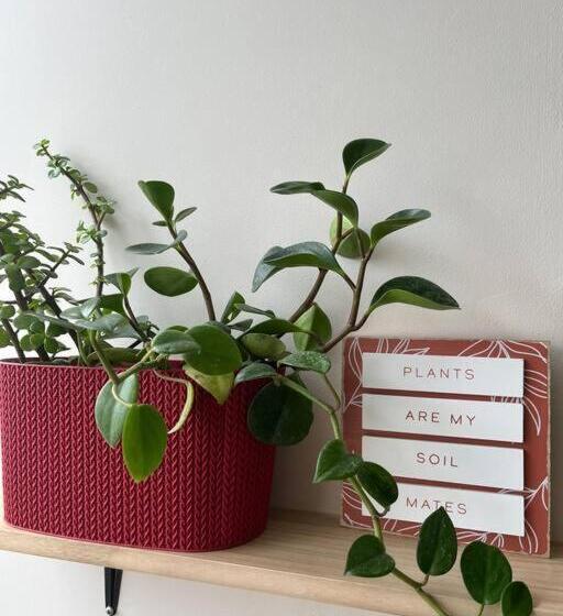 Cr Mariposa Rentals Cozy Retreat With Pool,tennis,gym,free Wifi