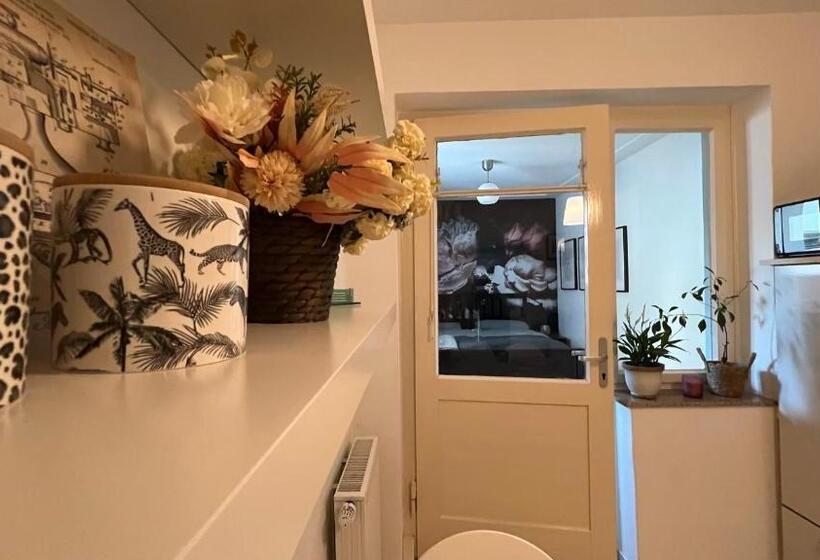 Designerwohnung Afrika Sehr Zentral Gelegen