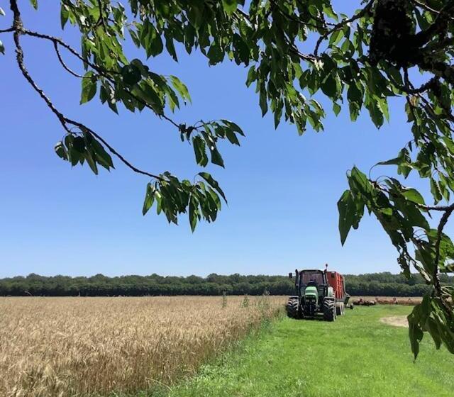 Gîte Entre Loire Et Campagne