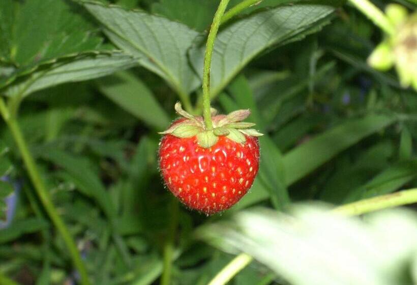 فندق Agriturismo Del Monte