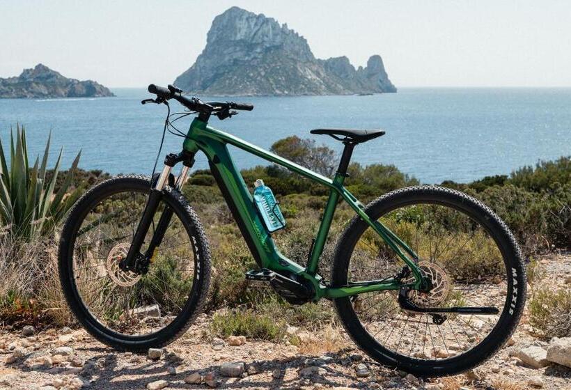 Отель Petunia Ibiza, A Beaumier