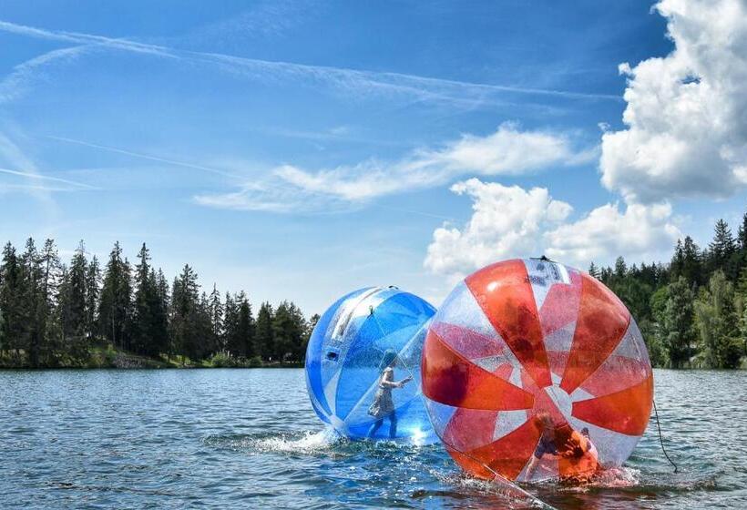 L Appartement De Marie