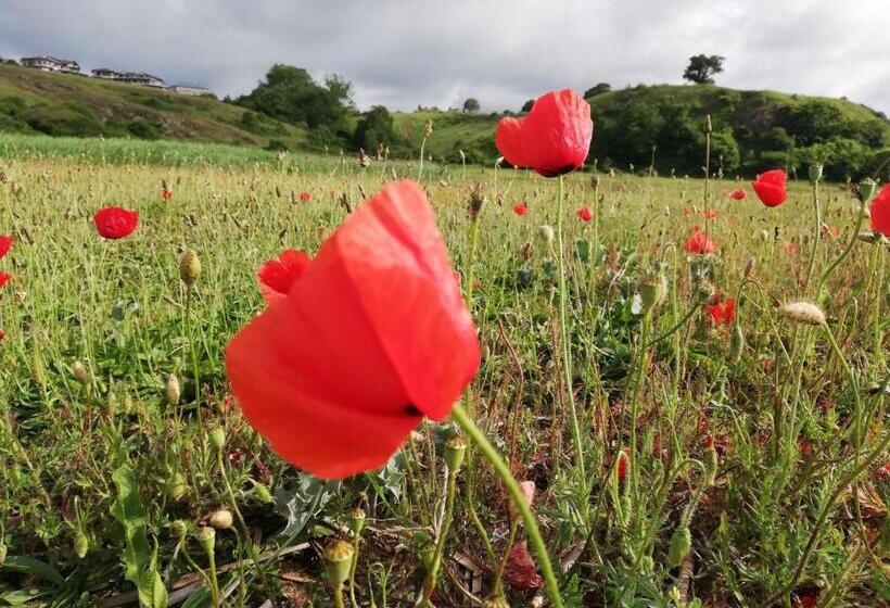 بنسيون къща за гости василеви синеморец Guest House Vasilevi Sinemorets