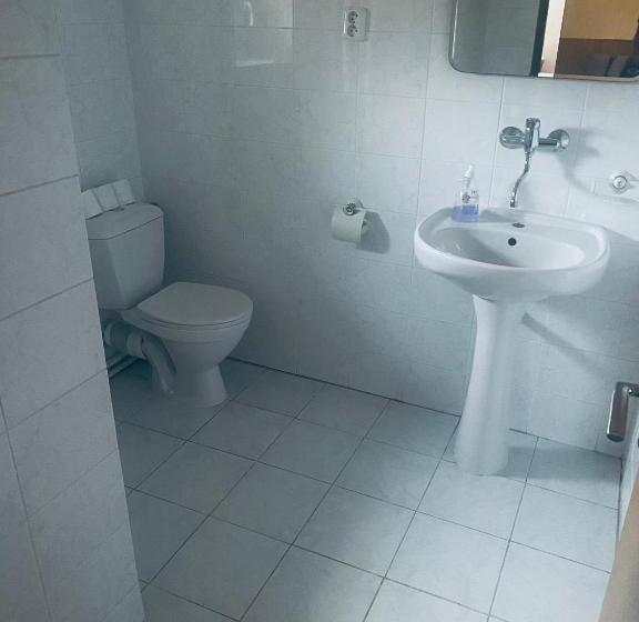 פנסיון Apartmánový Dům Velké Losiny