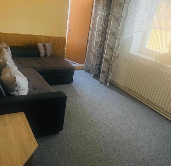 פנסיון Apartmánový Dům Velké Losiny