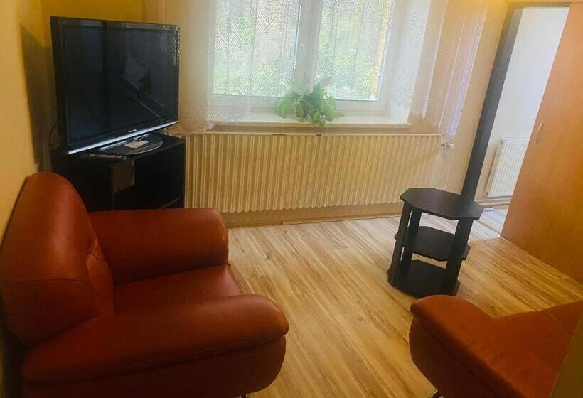 פנסיון Apartmánový Dům Velké Losiny