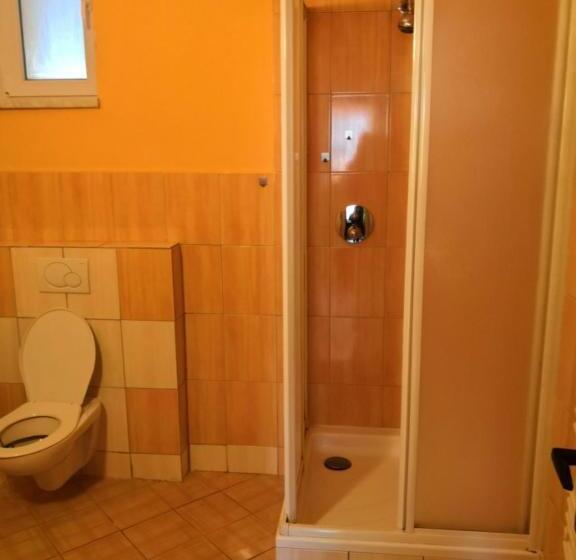 פנסיון Apartmánový Dům Velké Losiny