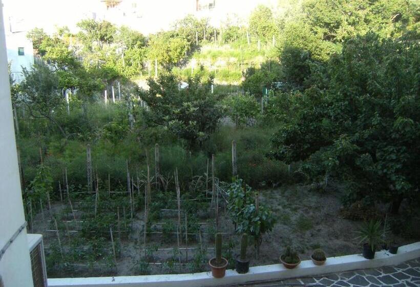 ペンション Blu Mare