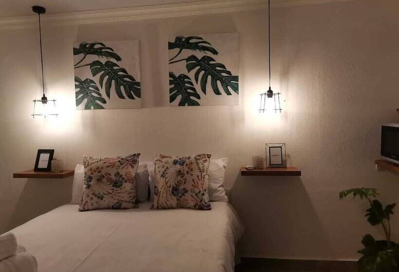 פנסיון Bono Luxury Guesthouse