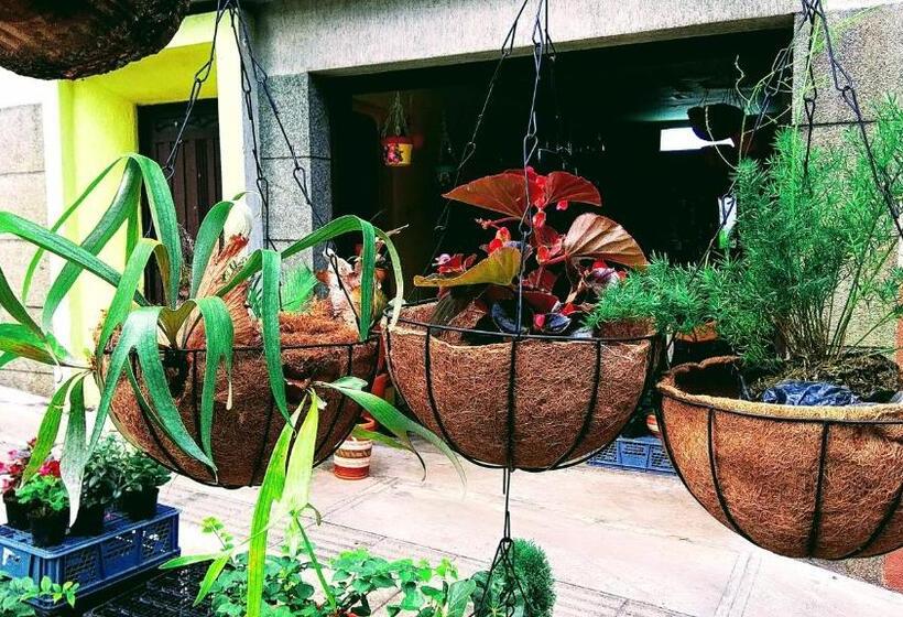 Pensión Casa Luna Estratégica Ubicación