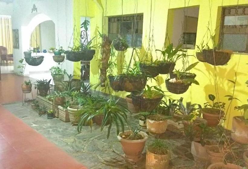 Pensión Casa Luna  Estratégica Ubicación