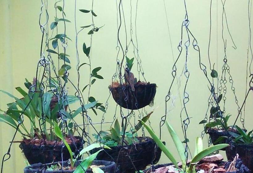 Pensión Casa Luna  Estratégica Ubicación