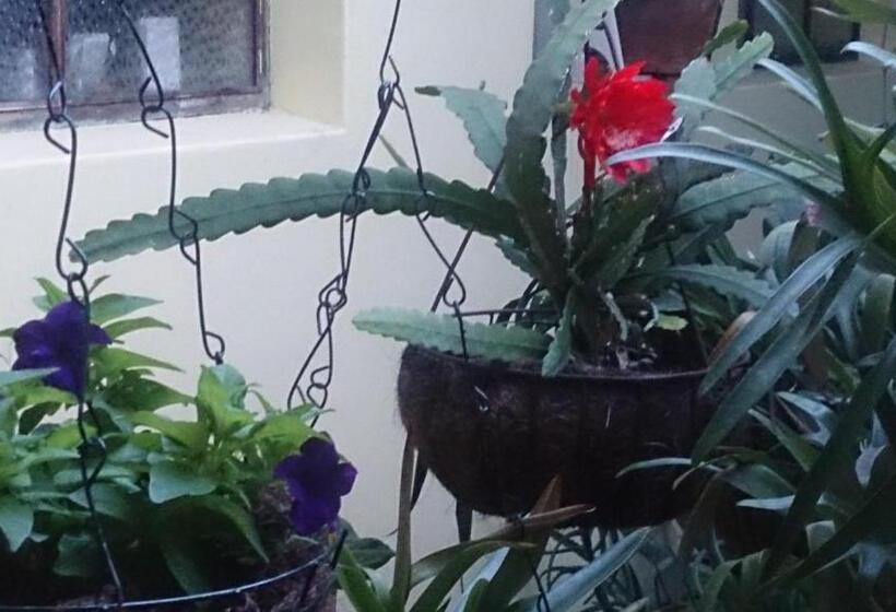 Pensión Casa Luna  Estratégica Ubicación