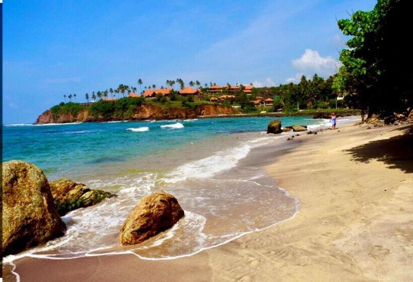 بنسيون Freedom192