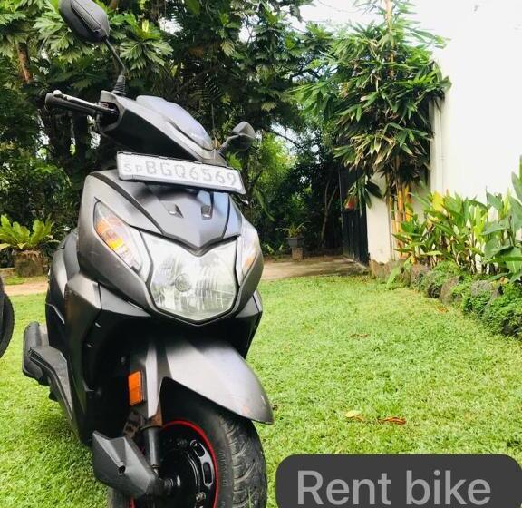 بنسيون Freedom192