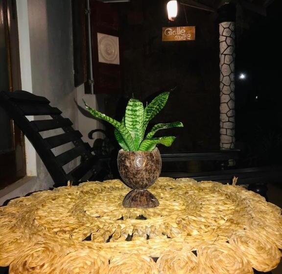 بنسيون Freedom192