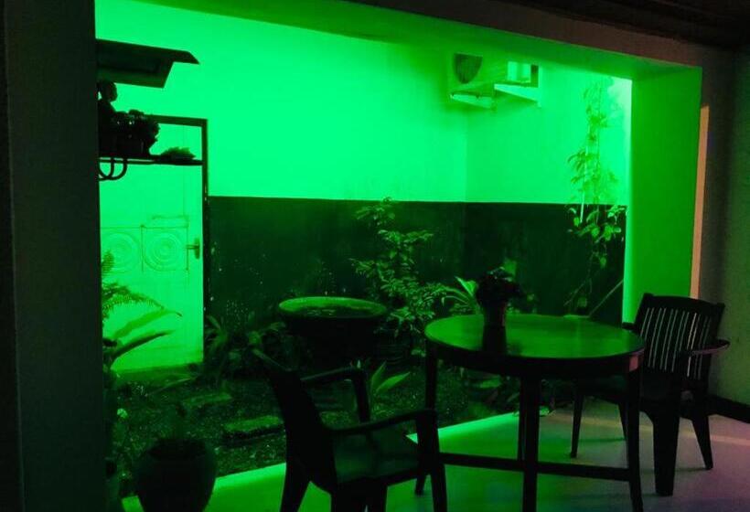 بنسيون Freedom192