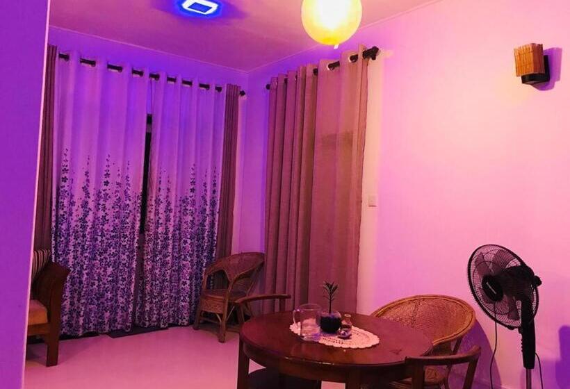 بنسيون Freedom192