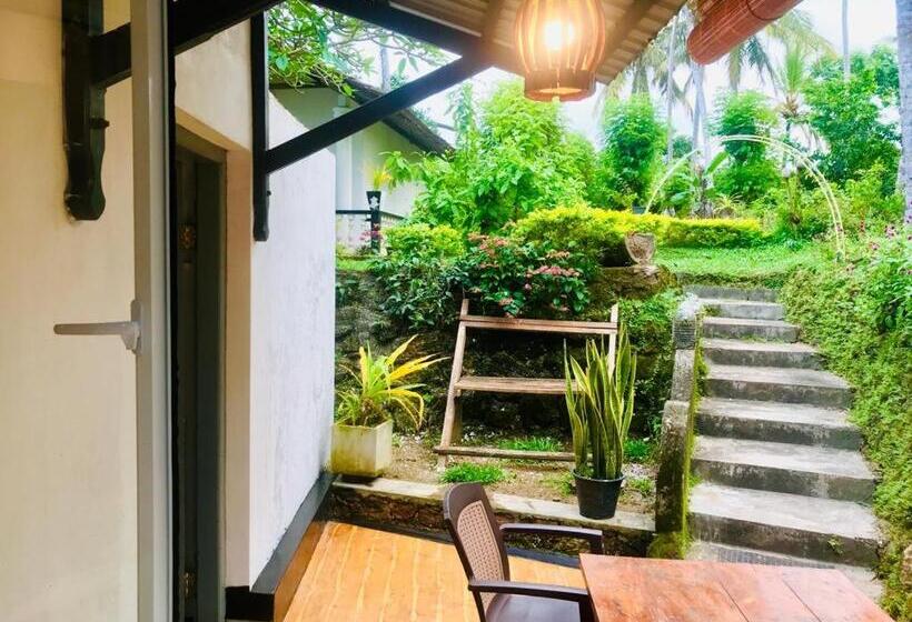 بنسيون Freedom192