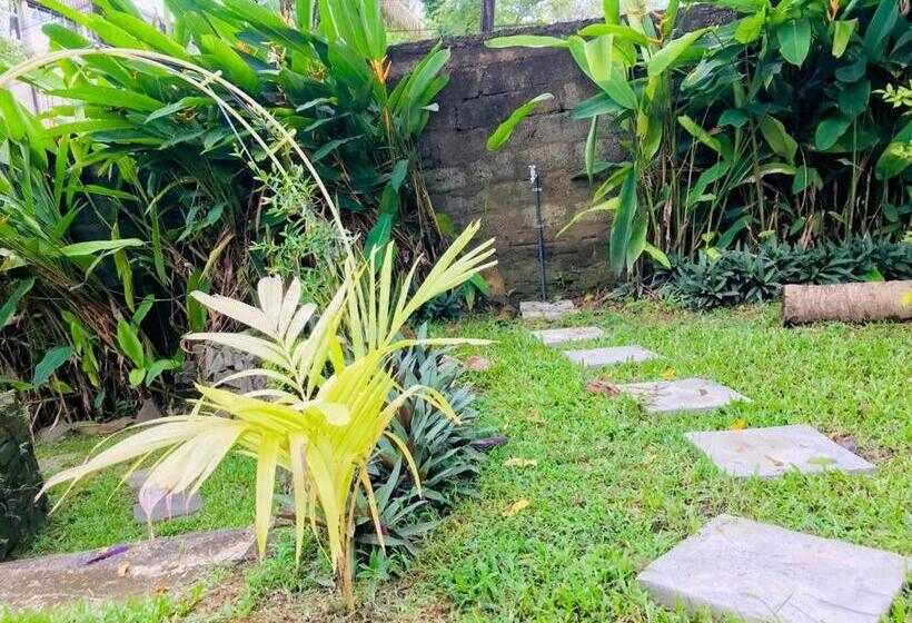 بنسيون Freedom192