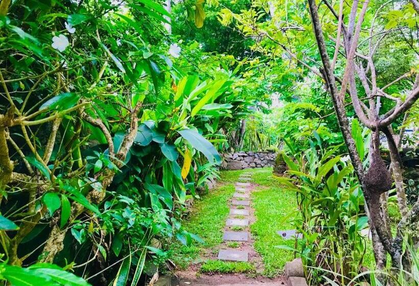 بنسيون Freedom192