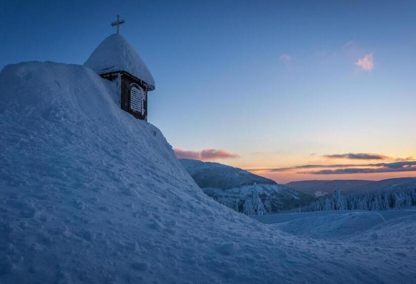 ペンション Erlebachova Bouda, Hotel   Resort Svatý František